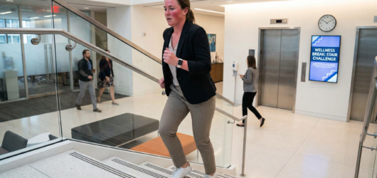 Effective Diet Plans to Help You Remove Belly Fat